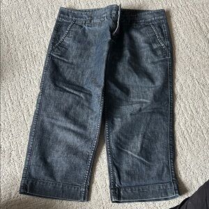 GAP Dark Blue Denim capris - Classic Straight Fit